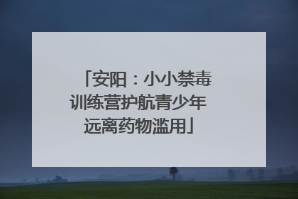 安阳：小小禁毒训练营护航青少年远离药物滥用