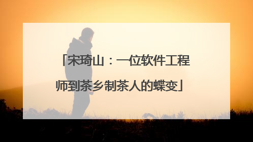 宋琦山：一位软件工程师到茶乡制茶人的蝶变