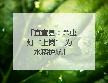 宜章县：杀虫灯“上岗” 为水稻护航
