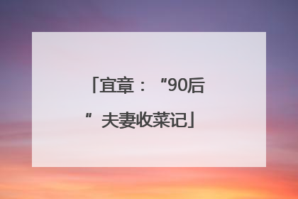 宜章：“90后”夫妻收菜记