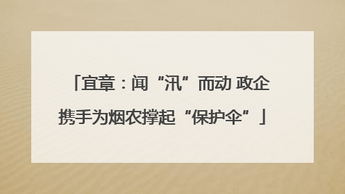 宜章：闻“汛”而动 政企携手为烟农撑起“保护伞”