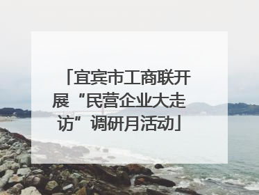 宜宾市工商联开展“民营企业大走访”调研月活动