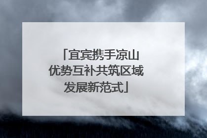宜宾携手凉山 优势互补共筑区域发展新范式