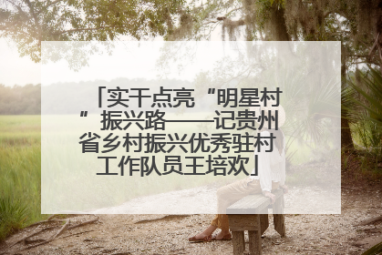 实干点亮“明星村”振兴路——记贵州省乡村振兴优秀驻村工作队员王培欢