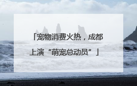 宠物消费火热，成都上演“萌宠总动员”