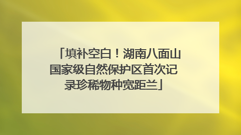填补空白！湖南八面山国家级自然保护区首次记录珍稀物种宽距兰