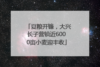 夏粮开镰，大兴长子营镇近6000亩小麦迎丰收