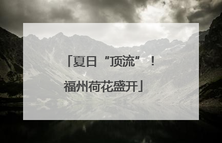 夏日“顶流”！福州荷花盛开