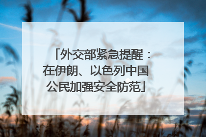 外交部紧急提醒：在伊朗、以色列中国公民加强安全防范