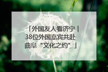 外国友人看济宁｜38位外国嘉宾共赴曲阜“文化之约”