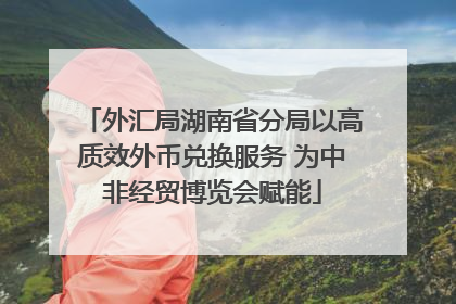 外汇局湖南省分局以高质效外币兑换服务 为中非经贸博览会赋能