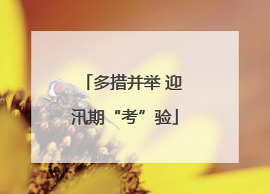 多措并举 迎汛期“考”验