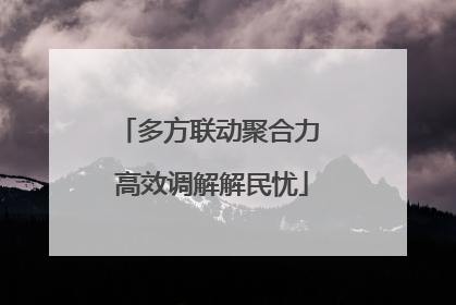 多方联动聚合力 高效调解解民忧