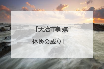 大冶市新媒体协会成立