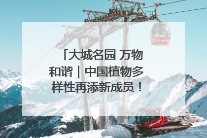 大城名园 万物和谐｜中国植物多样性再添新成员！它只在西藏墨脱