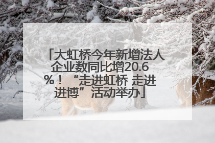 大虹桥今年新增法人企业数同比增20.6%！“走进虹桥 走进进博”活动举办