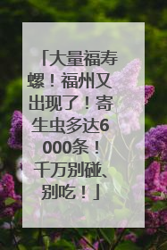 大量福寿螺！福州又出现了！寄生虫多达6000条！千万别碰、别吃！