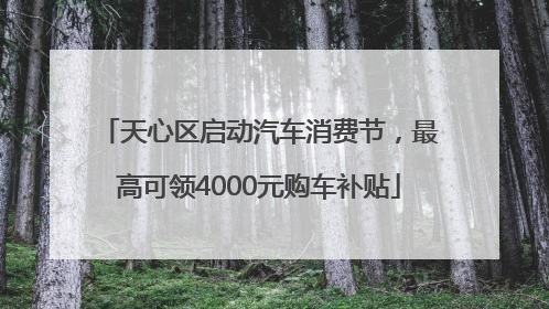 天心区启动汽车消费节，最高可领4000元购车补贴