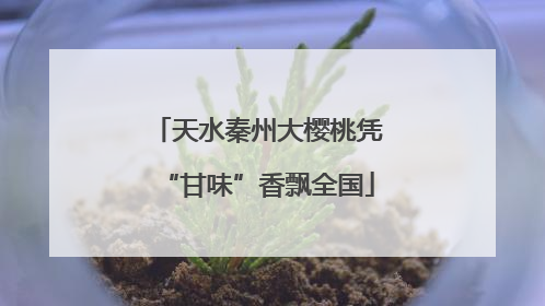 天水秦州大樱桃凭“甘味”香飘全国
