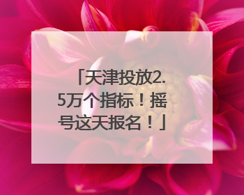 天津投放2.5万个指标！摇号这天报名！