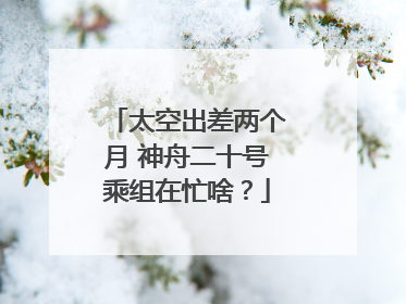 太空出差两个月 神舟二十号乘组在忙啥？