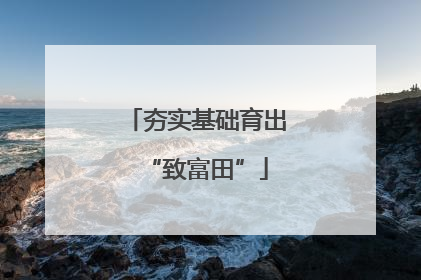 夯实基础育出“致富田”