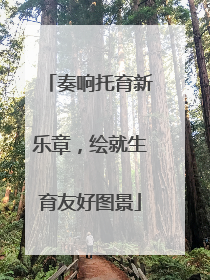 奏响托育新乐章，绘就生育友好图景