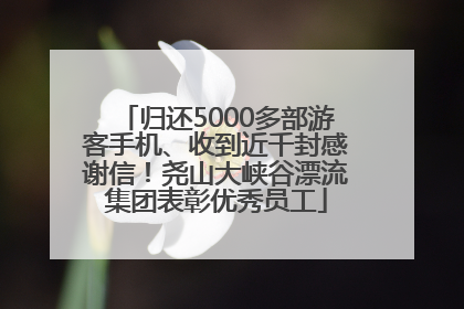 归还5000多部游客手机、收到近千封感谢信！尧山大峡谷漂流集团表彰优秀员工