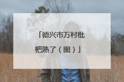 德兴市万村枇杷熟了（图）