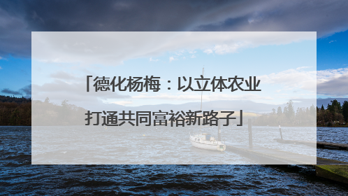 德化杨梅：以立体农业打通共同富裕新路子