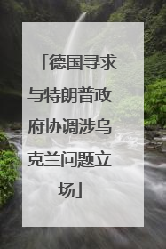 德国寻求与特朗普政府协调涉乌克兰问题立场