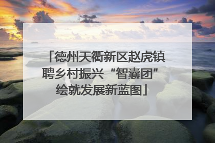 德州天衢新区赵虎镇聘乡村振兴“智囊团” 绘就发展新蓝图