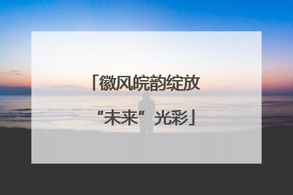 徽风皖韵绽放“未来”光彩