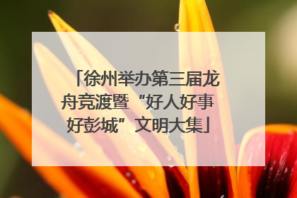 徐州举办第三届龙舟竞渡暨“好人好事好彭城”文明大集