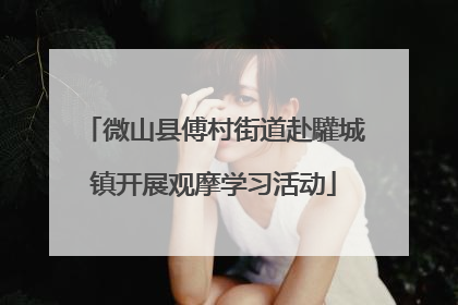 微山县傅村街道赴驩城镇开展观摩学习活动