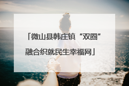 微山县韩庄镇“双圈”融合织就民生幸福网