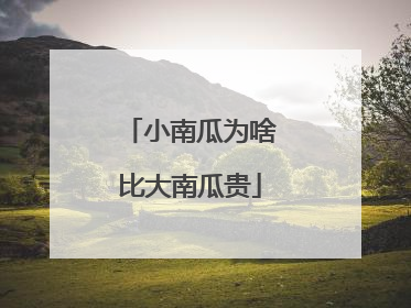 小南瓜为啥比大南瓜贵