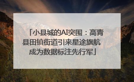 小县城的AI突围：高青县田镇街道引来星途旗航 成为数据标注先行军