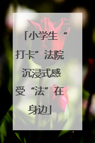 小学生“打卡”法院 沉浸式感受“法”在身边