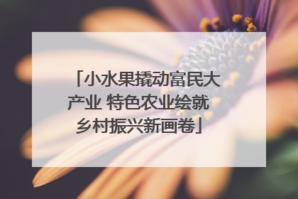 小水果撬动富民大产业 特色农业绘就乡村振兴新画卷