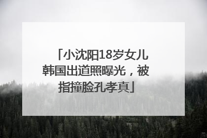 小沈阳18岁女儿韩国出道照曝光，被指撞脸孔孝真