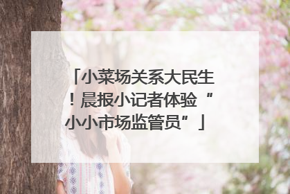 小菜场关系大民生！晨报小记者体验“小小市场监管员”