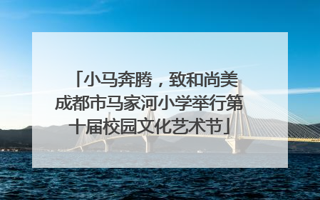 小马奔腾，致和尚美 成都市马家河小学举行第十届校园文化艺术节