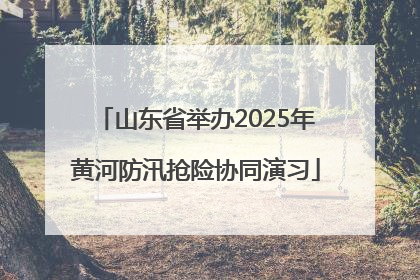 山东省举办2025年黄河防汛抢险协同演习