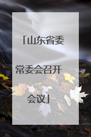 山东省委常委会召开会议