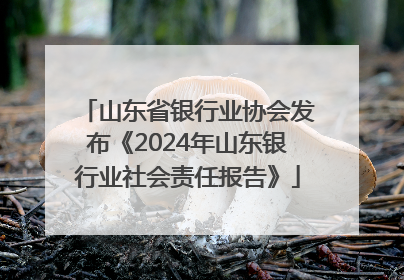 山东省银行业协会发布《2024年山东银行业社会责任报告》