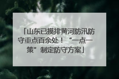 山东已摸排黄河防汛防守重点百余处！“一点一策”制定防守方案