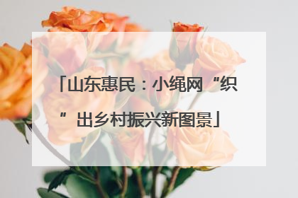 山东惠民：小绳网“织”出乡村振兴新图景