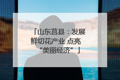 山东莒县：发展鲜切花产业 点亮“美丽经济”