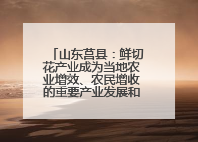 山东莒县：鲜切花产业成为当地农业增效、农民增收的重要产业发展和特色品牌